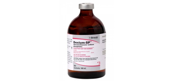 Dexium-SP